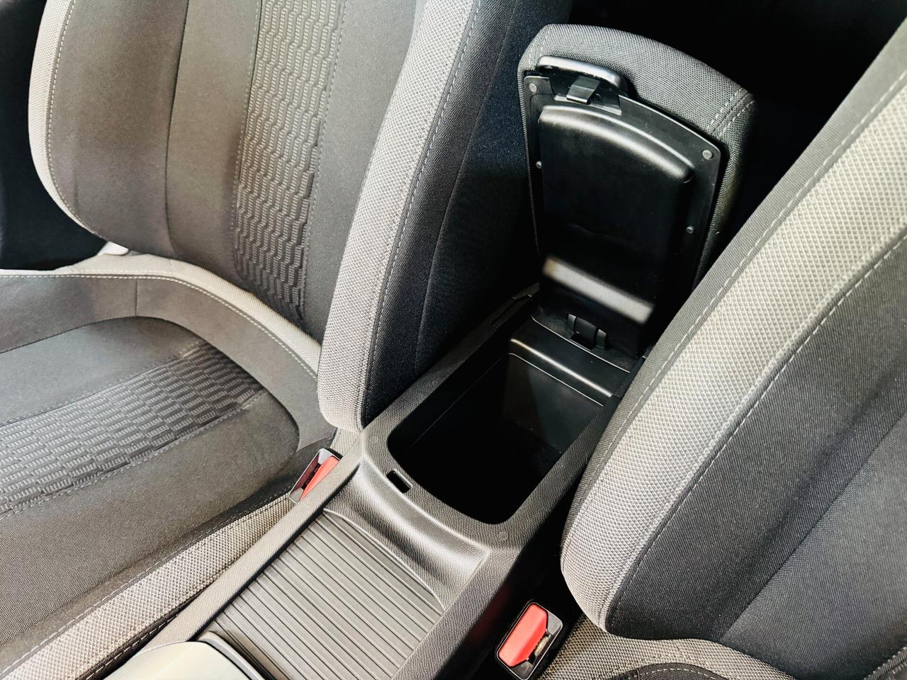 Peugeot 308 Active 110 Cv - Navi / R.Camera