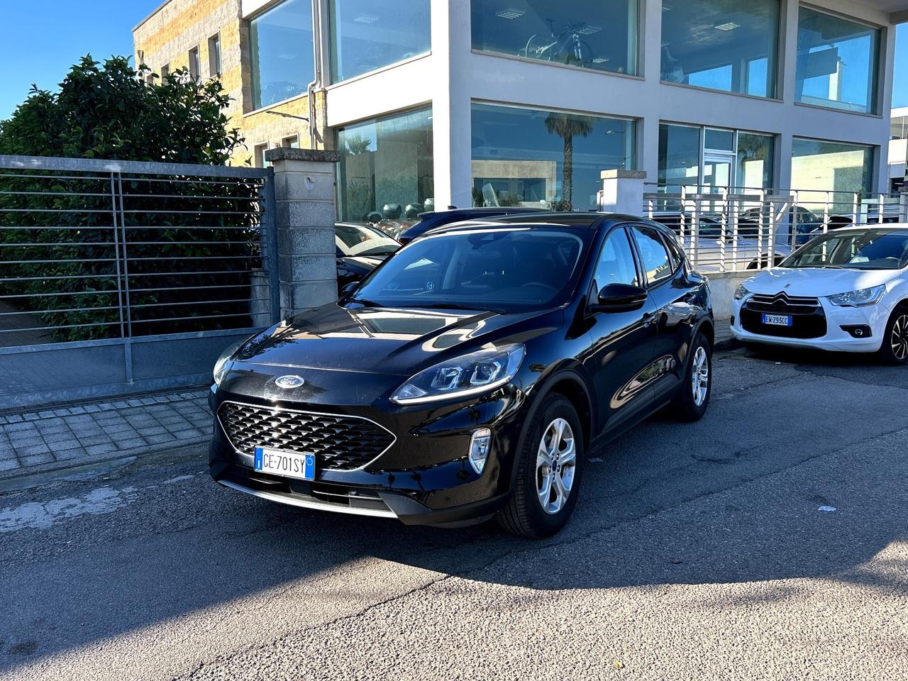 Ford Kuga 1.5 EcoBlue 120 CV 2WD Titanium Business