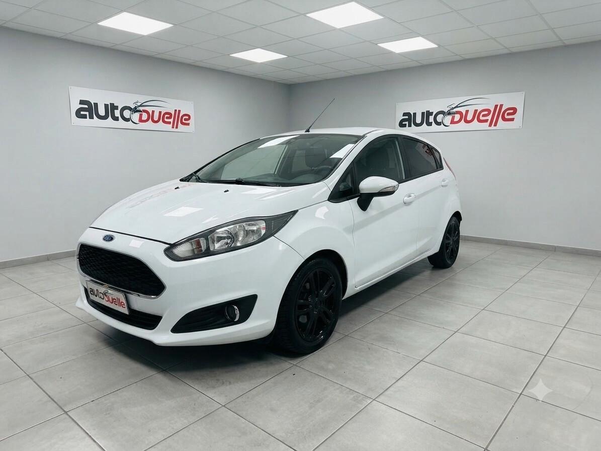 Ford Fiesta 1.4 5 porte Bz.- GPL Black & White Edition
