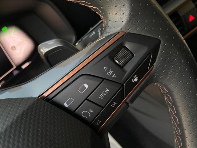 CUPRA Formentor 2.0 TDI 150 CV 4Drive DSG TETTO APR/PAN