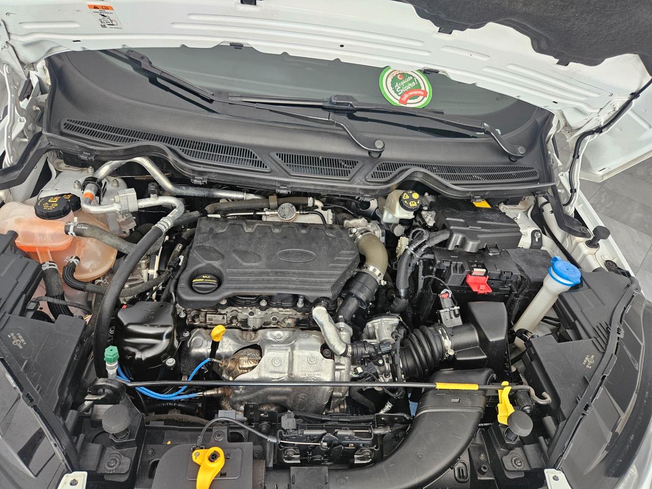 Ford EcoSport 1.5 Ecoblue 100 CV Start&Stop ST-Line