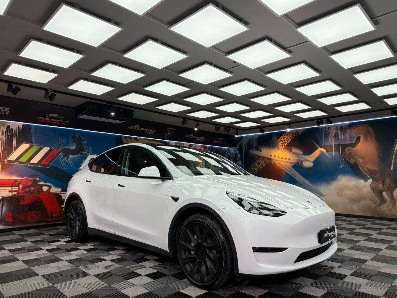 Tesla Model Y Long Range AWD (349)