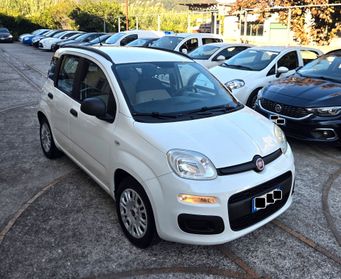 Fiat Panda 1.2 Easy BEN TENUTA GARANZIA 12 MESI