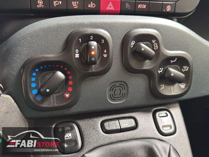 FIAT Panda 1.3 Mjet 80 Cv Van 4x4 - 2 Posti