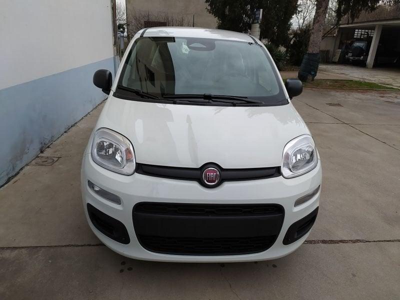 FIAT Panda 1.0 70cv Hybrid Promo Cbc26