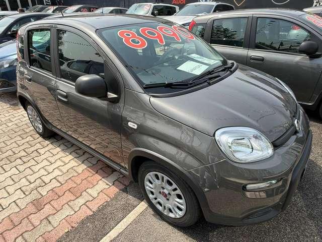 Fiat Panda Panda 1.0 firefly hybrid DISPONIBILI VARI COLORI