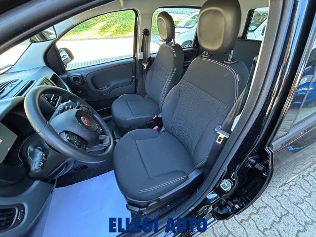 FIAT Panda PROMO FINANZ 1.0 HYBRID +PACK ICON KM 0