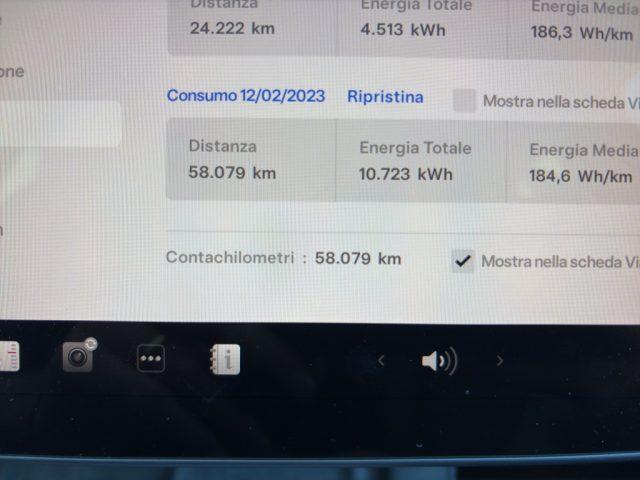 TESLA Model Y Performance dual motor AWD