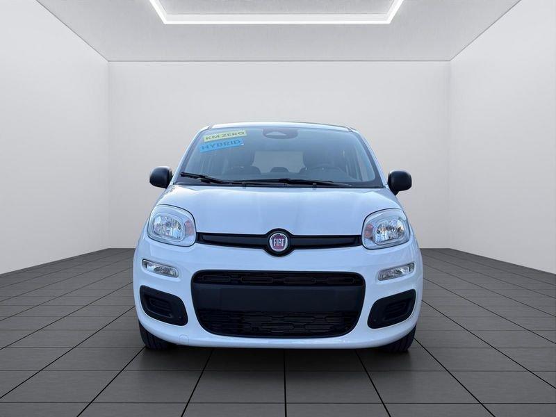 FIAT Pandina Pandina 5p 1.0 FireFly 65cv S&S 6m Hybrid Icon