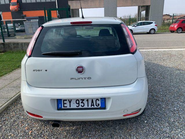 FIAT Punto 1.2 8V 5 porte Street