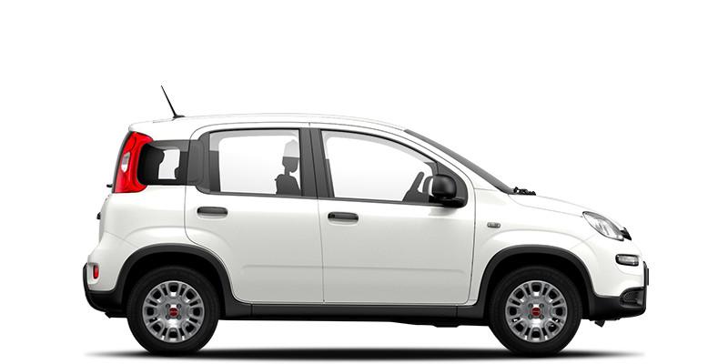 FIAT Panda 1.0 FireFly CON ROTTAMAZIONE FINO A EURO 4