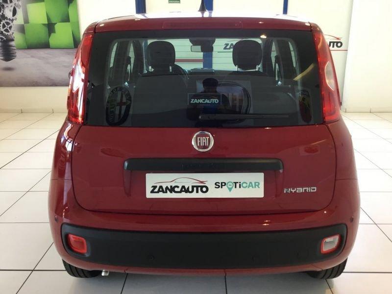 FIAT Panda Panda 1.0 FireFly S&S Hybrid Icon PROMO MESE + TARGA