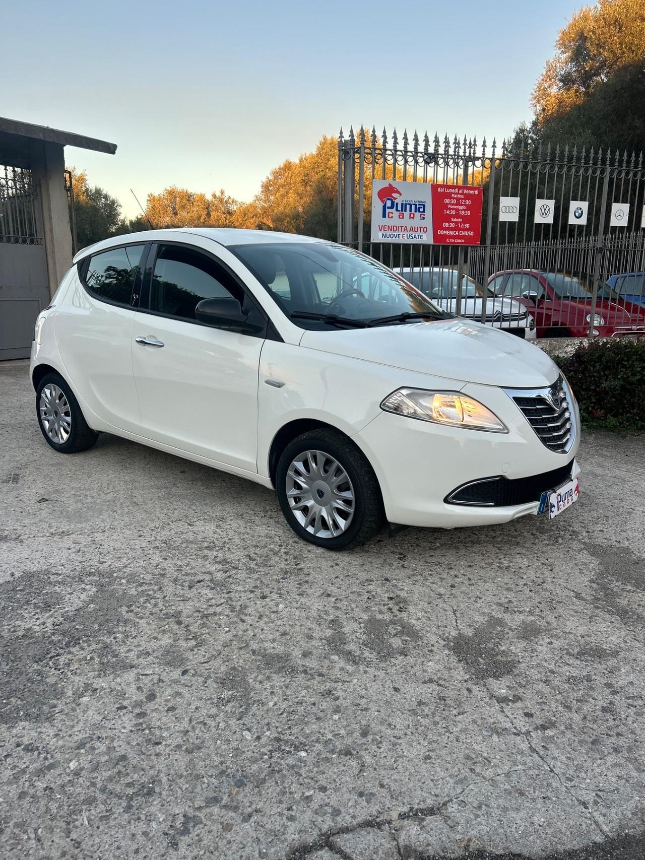 Lancia Ypsilon 1.2 69 CV 5 porte S&S Platinum