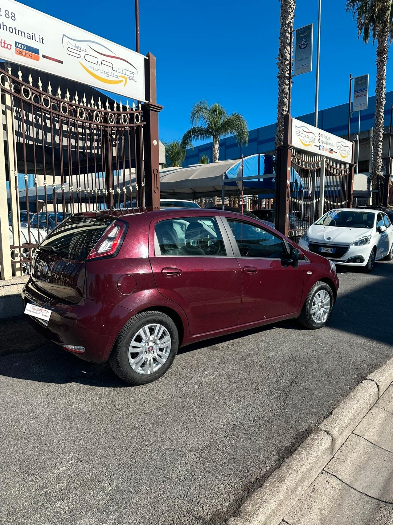 Fiat Punto Evo 1.3 Mjt 95 CV DPF 5 porte S&S Emotion