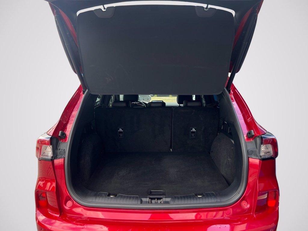 FORD Kuga 1.5 EcoBlue 120 CV aut. 2WD ST-Line X del 2020