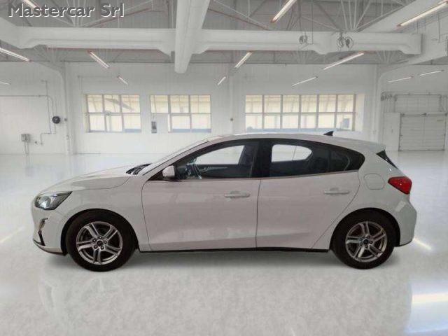 FORD Focus Focus V 2018 1.5 ecoblue Business Co-pilot s - GF8