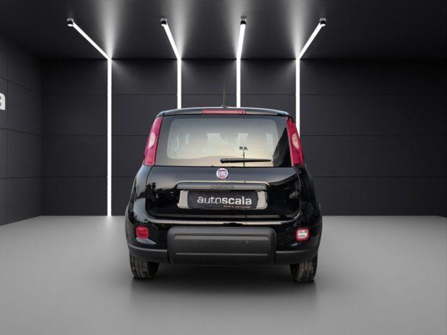 FIAT Panda 1.0 FireFly S&S Hybrid Pandina