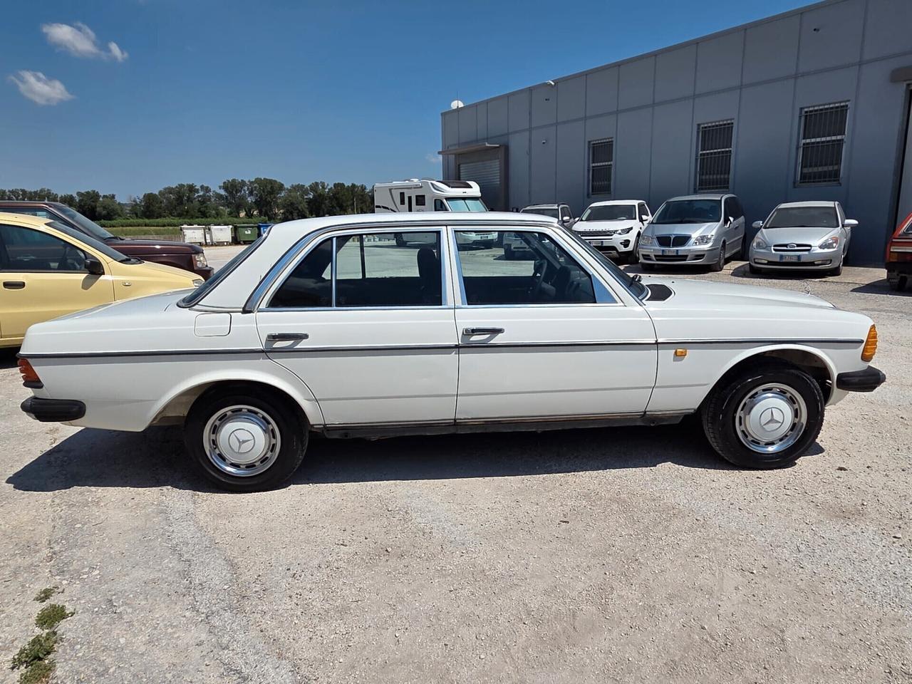Mercedes-benz W123 240D -ASI-