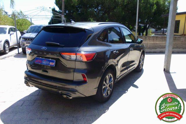 FORD Kuga 1.5 EcoBlue 120 CV 2WD ST-Line