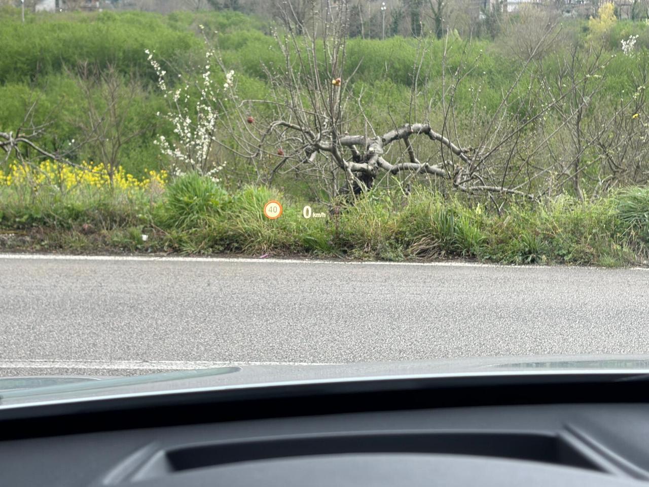 Bmw X1 2.0d 190cv xDrive20d Msport