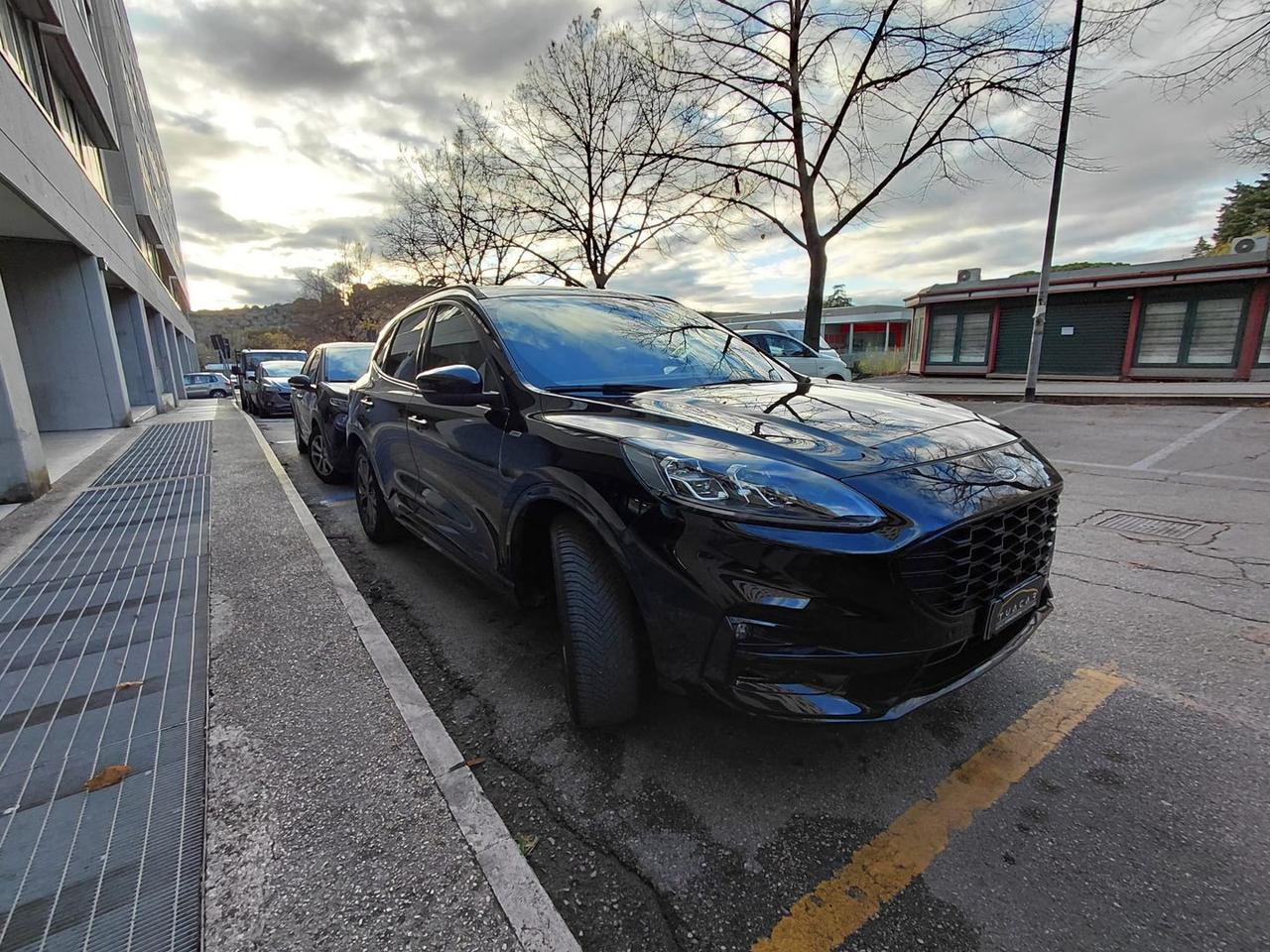 Ford Kuga ST Line 1.5 EcoBlue #7951