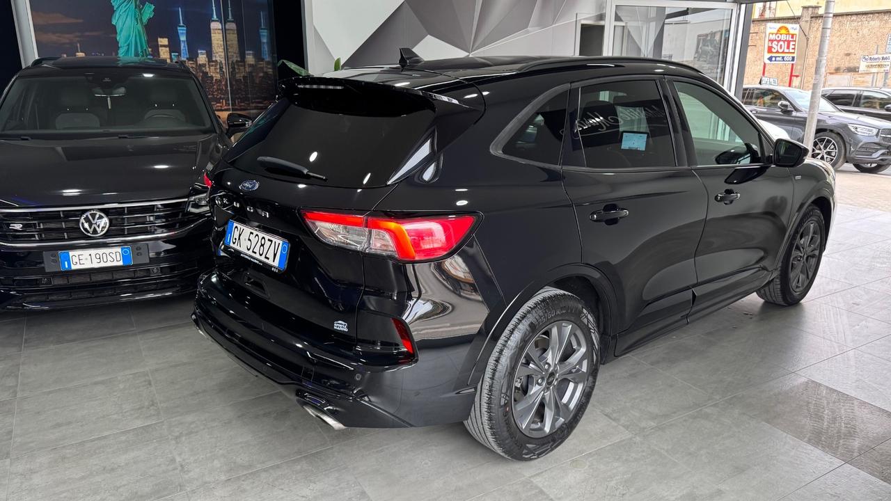 Ford Kuga 1.5 EcoBlue 120 CV 2WD ST-Line-2022