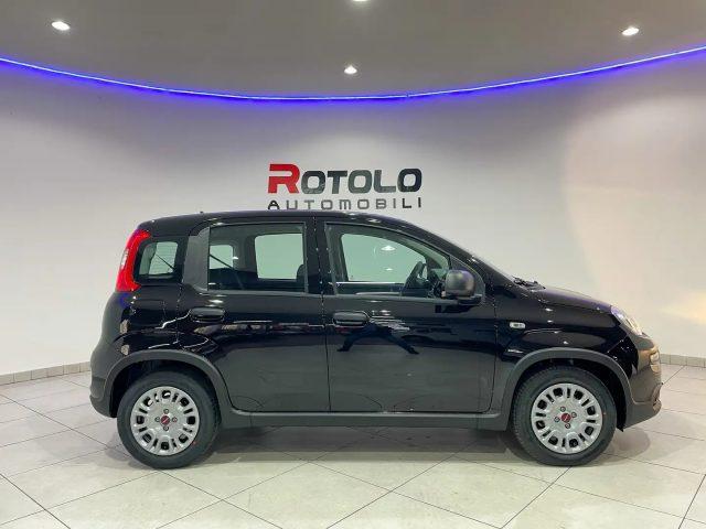 FIAT New Panda PROMO CAR SERENITY