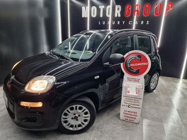 Fiat Panda 1.2 EasyPower Easy Gpl 69cv