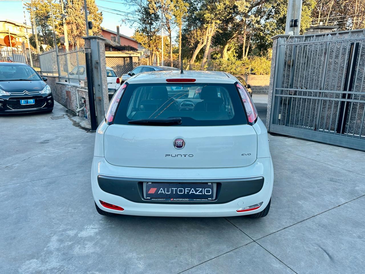 Fiat Punto Evo 1.3 Mjt 75 CV DPF 5 porte S&S Dynamic