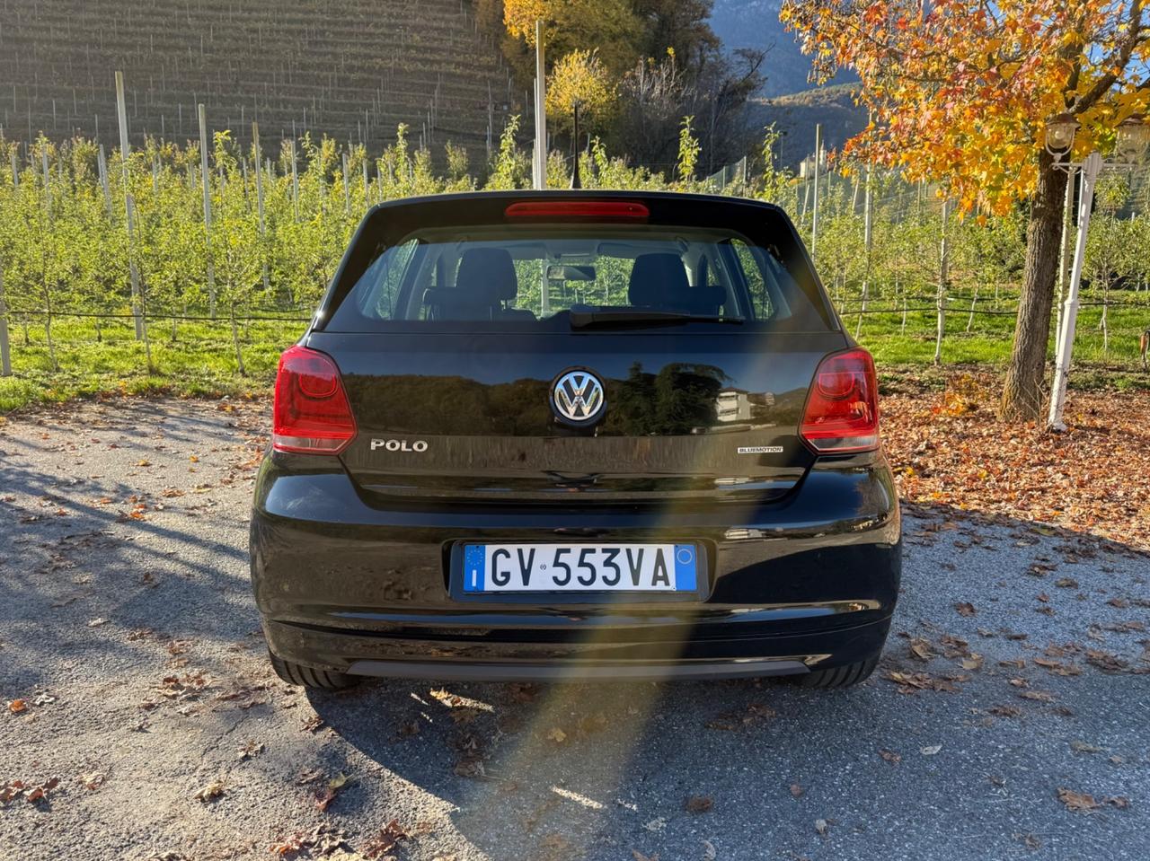 Volkswagen Polo 1.2 TDI DPF 5 p. Comfortline