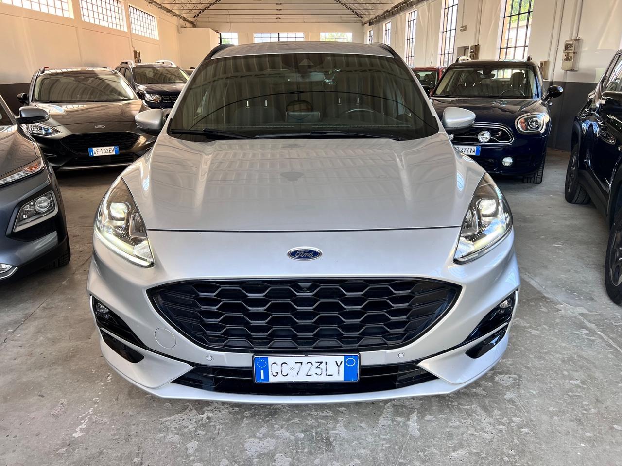 Ford Kuga 1.5 EcoBlue 120 CV aut. 2WD ST-Line X CINGHIA FATTA