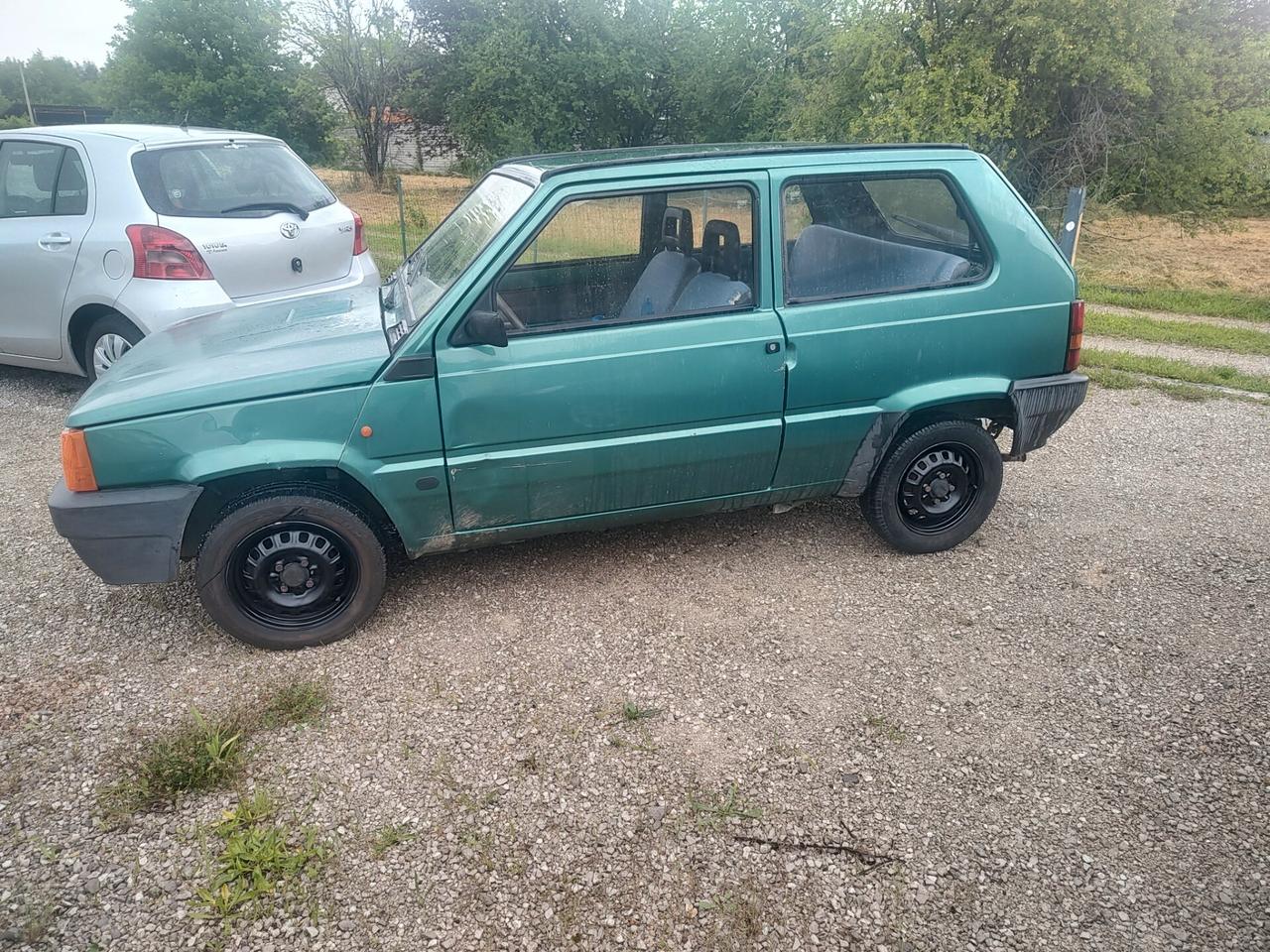 Fiat Panda 1100 i.e. cat Young