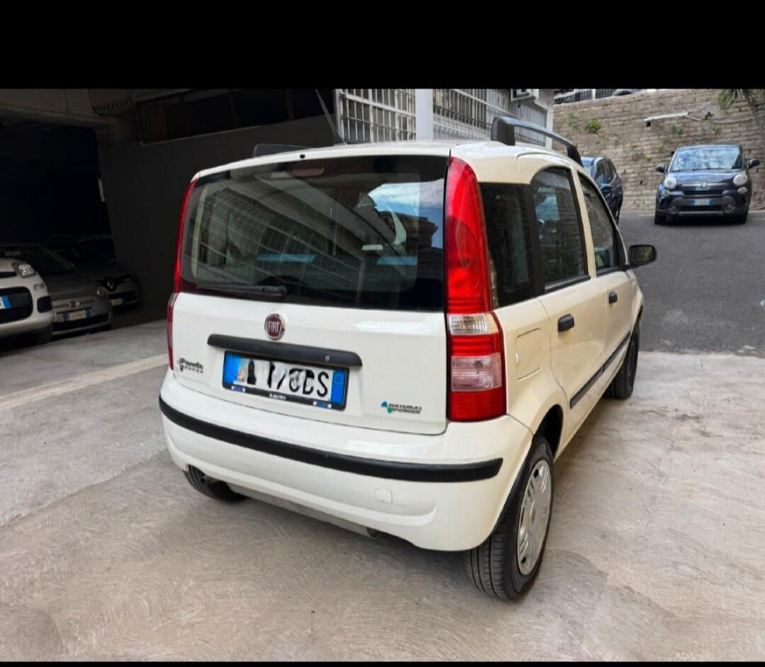 Fiat Panda 1.2 Dynamic Natural Power Mamy