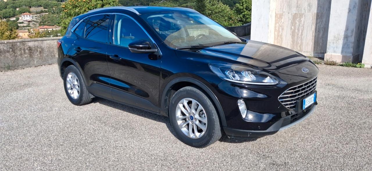 Ford Kuga 1.5 EcoBlue 120 CV 2WD Titanium