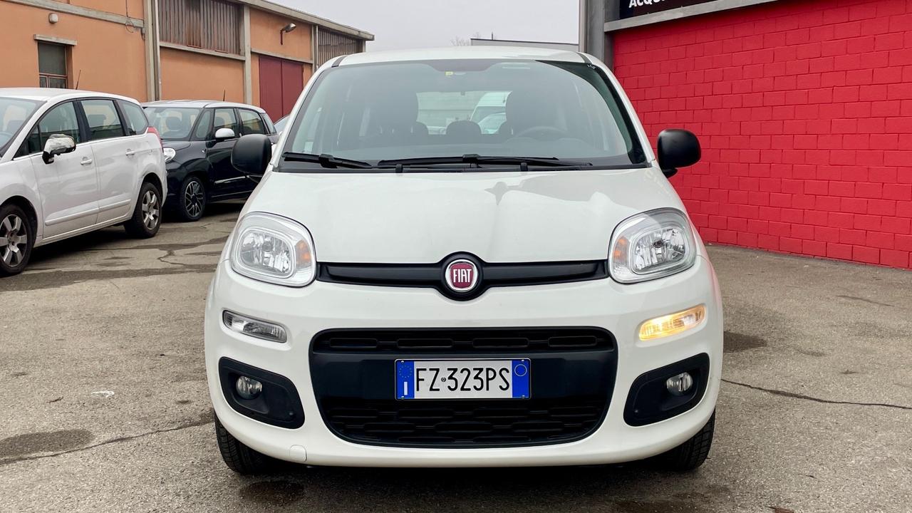 FIAT PANDA 1.2 LOUNGE 69CV 5 POSTI - NEOPATENTATI