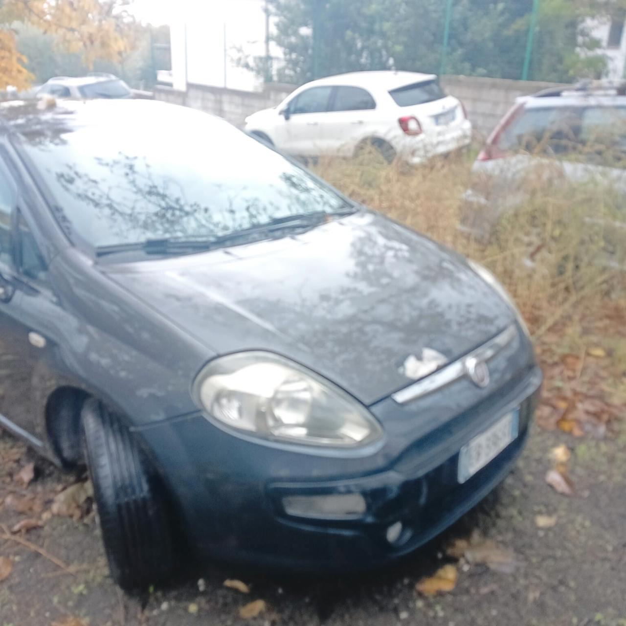 Fiat Punto Evo Punto Evo 1.3 Mjt 75 CV 5 porte Dynamic