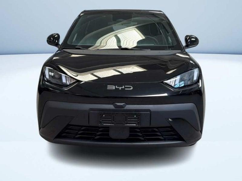 BYD Dolphin Surf Boost