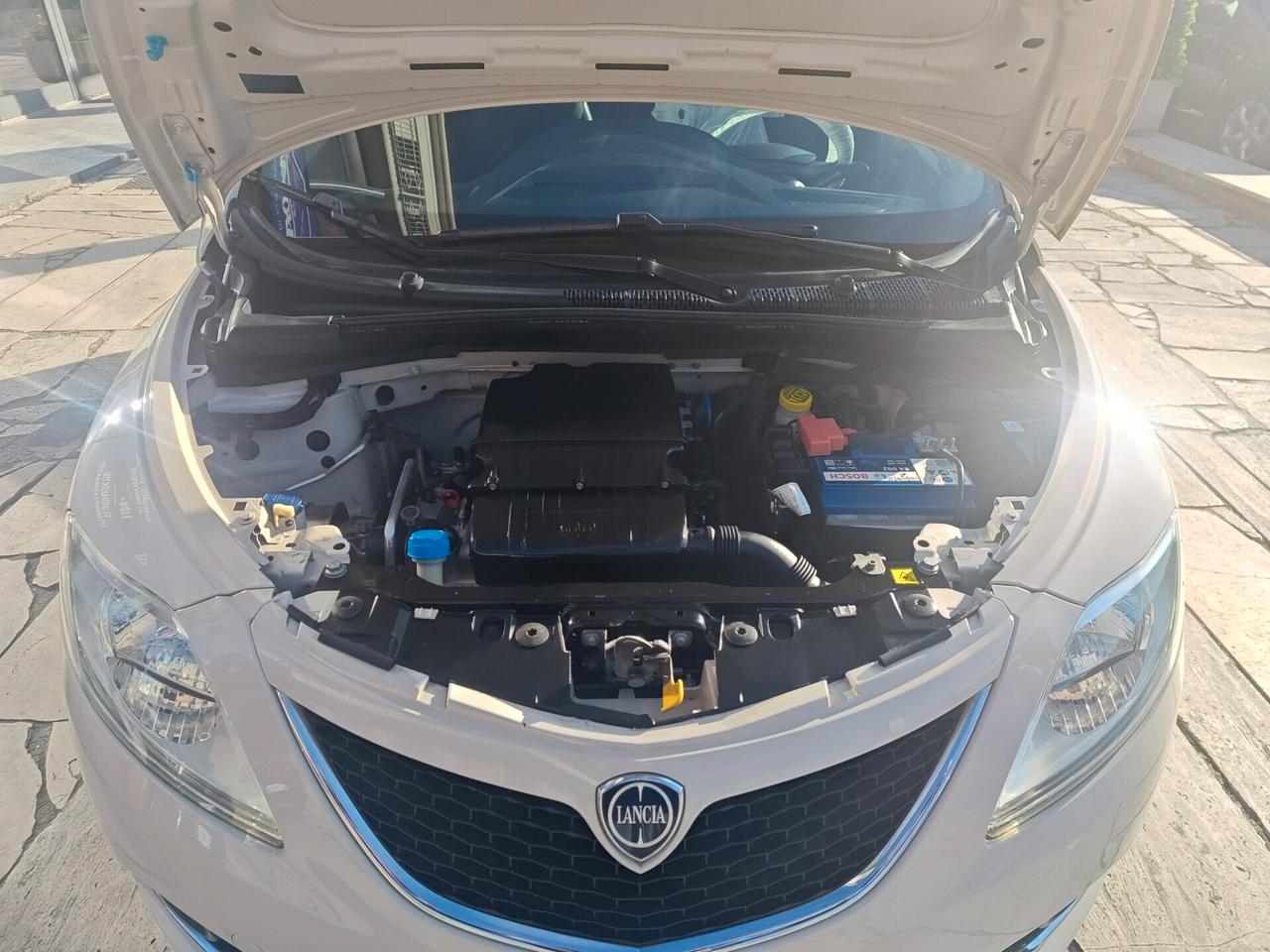 LANCIA YPSILON 1.2 69 CV 5P. PLATINUM