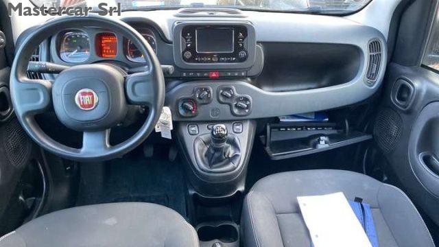 FIAT Panda Panda III 2021 1.0 firefly hybrid tg : GP621BA