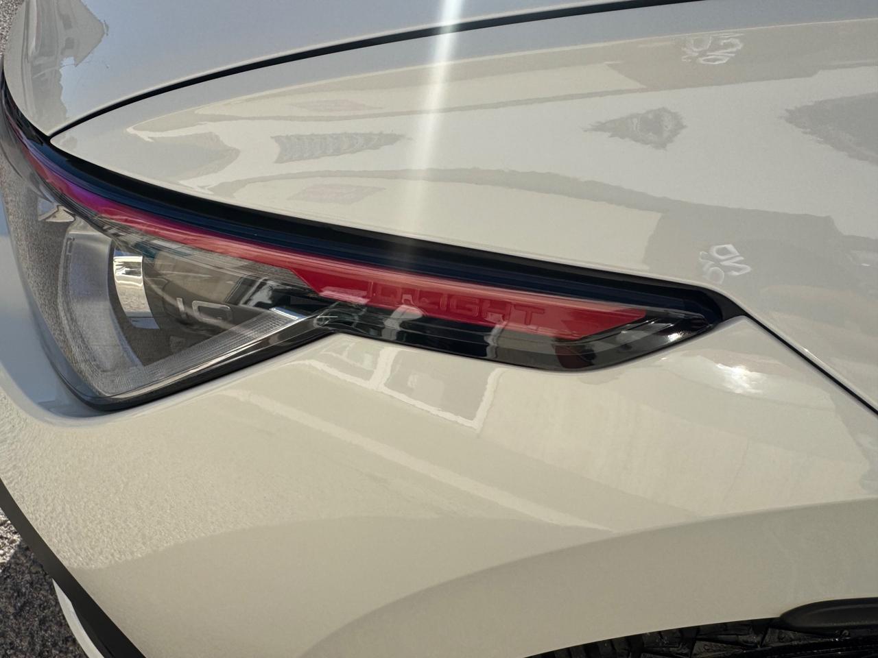 Volkswagen Golf 8 2.0 GTI club sport 45 Garanzia