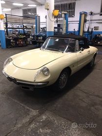 ALFA ROMEO Spider, Duetto "OSSO DI SEPPIA" 1966