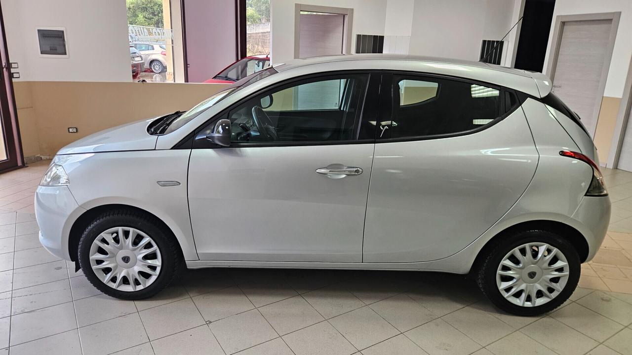 Lancia Ypsilon 1.2 69 CV 5 porte Elefantino
