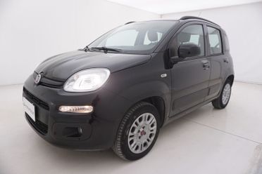 Fiat Panda Lounge BZ530981 1.2 Benzina 69CV