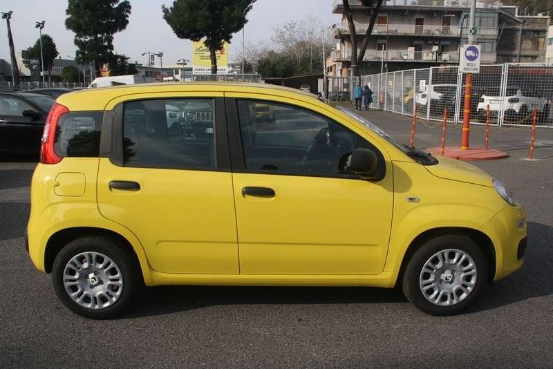 FIAT Pandina Pandina 1.0 FireFly 65 CV Hybrid Icon