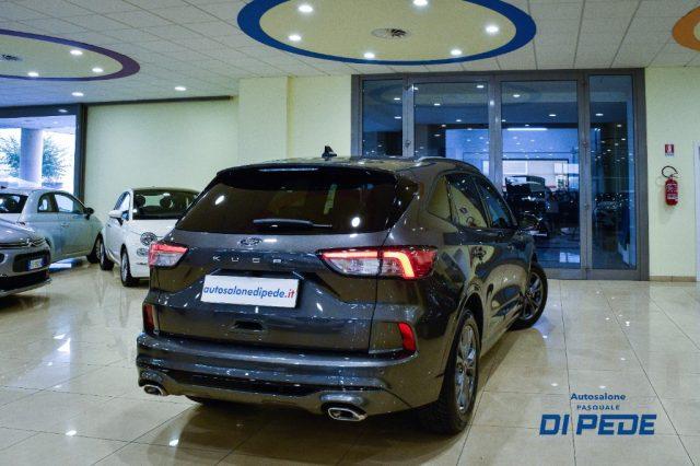 FORD Kuga 1.5 EcoBlue 120 CV 2WD ST-Line