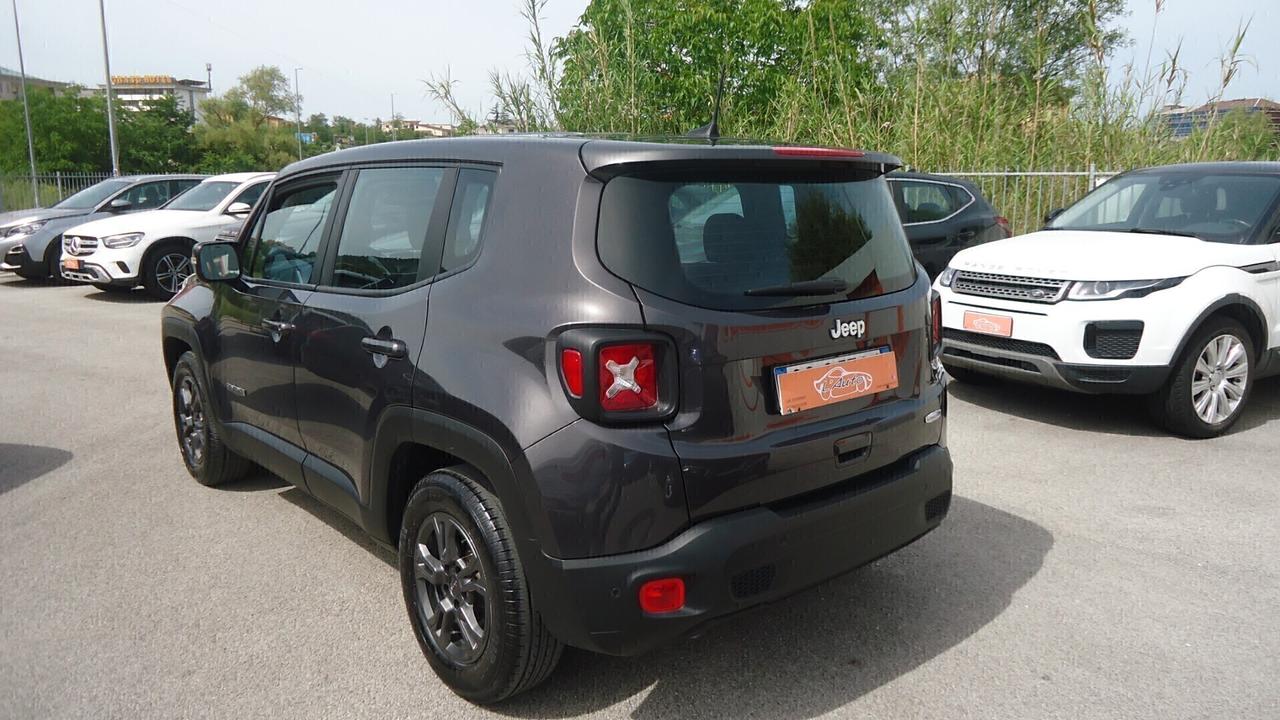 Jeep Renegade 1.6 Mjt DDCT 120 CV Business 2wd