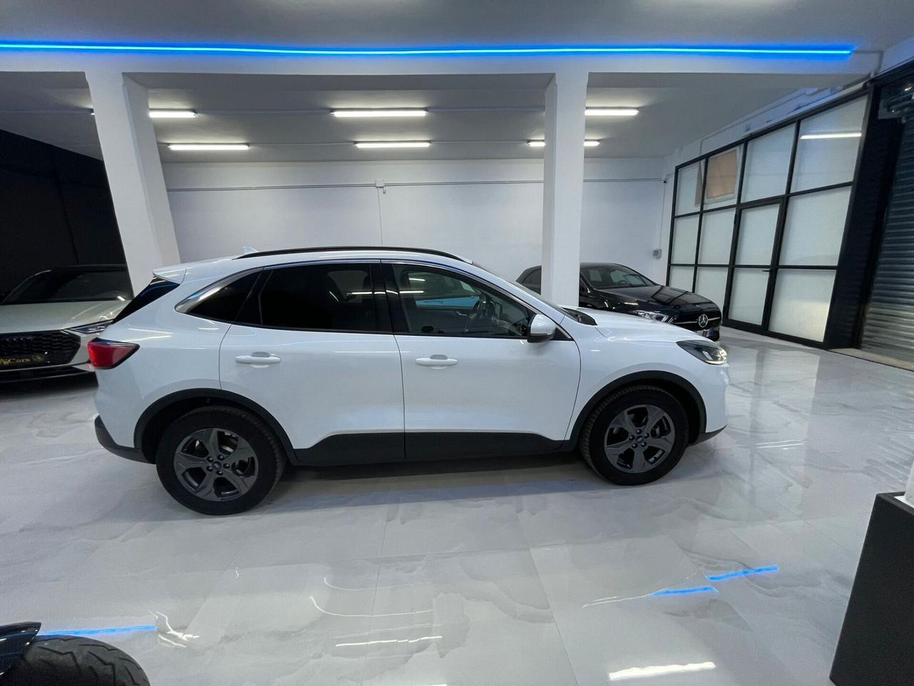 Ford Kuga 2.0 EcoBlue 150 CV aut. AWD Titanium Business