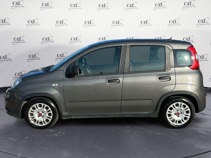 FIAT Panda Panda 1.0 FireFly Hybrid