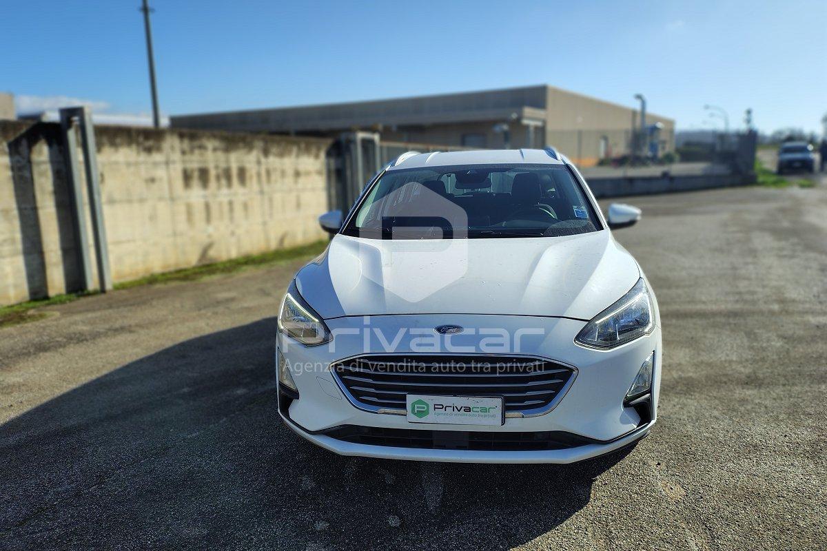 FORD Focus 1.5 EcoBlue 120 CV automatico SW Business