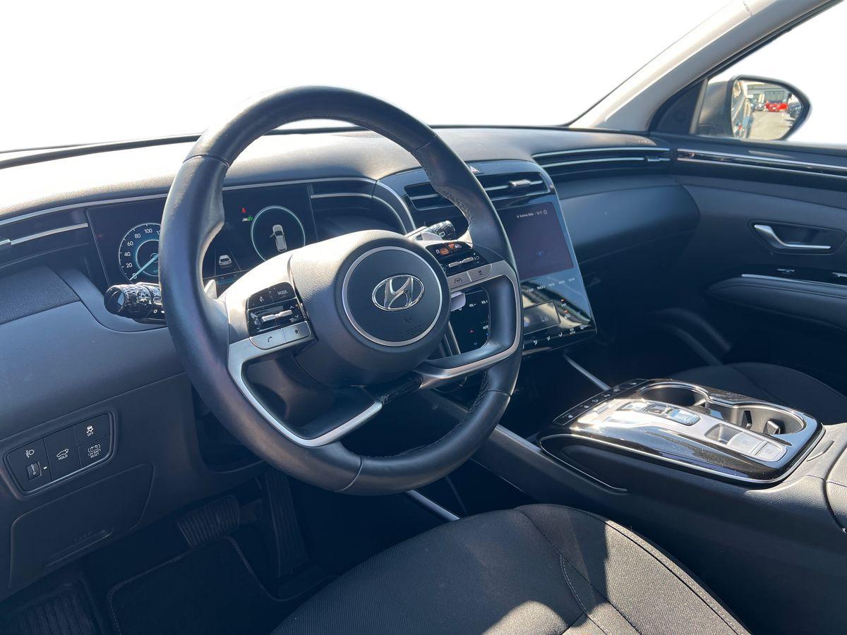 HYUNDAI Tucson 1.6 hev Xline 2wd auto